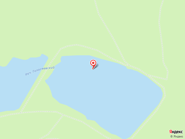 в районе  Голосеевский лес